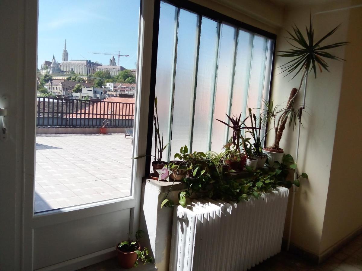 Buda Super Panorama Budapest Exteriör bild